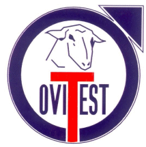 ovi-test2