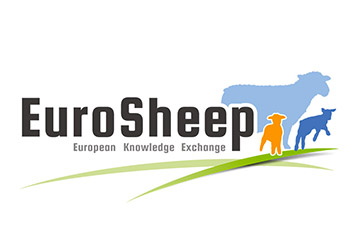 Eurosheep