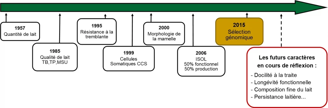 Frise chronologique ISOL Lacaune lait - UPRA Lacaune