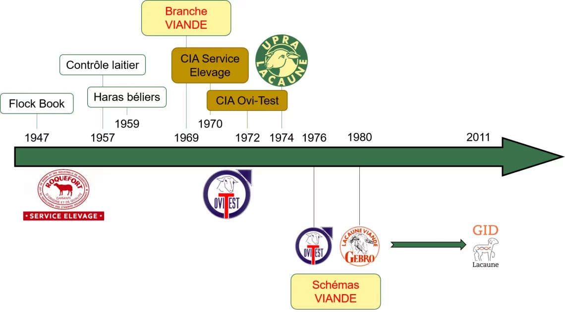 Historique Lacaune viande